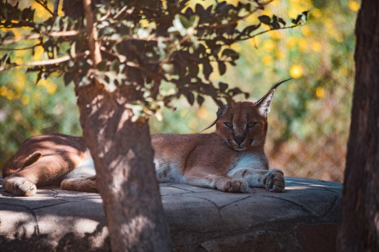 Chaminuka Lodge Λουσάκα Εξωτερικό φωτογραφία